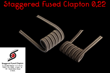 Lade das Bild in den Galerie-Viewer, SFC 0,22 Ohm dual / ID = 3 mm